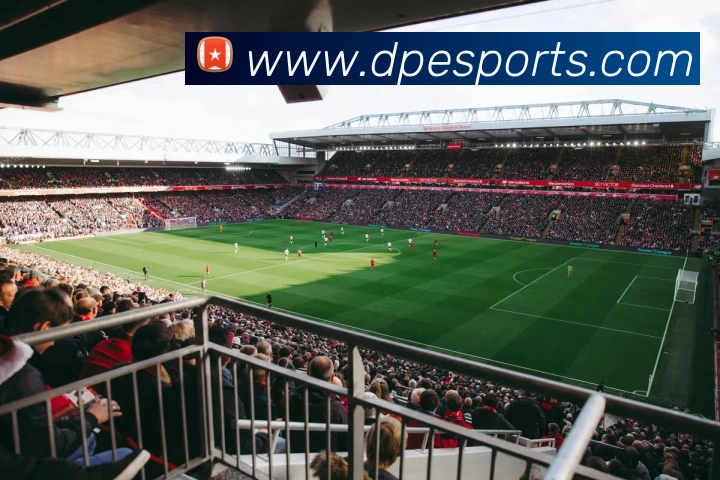 App Interface Preview